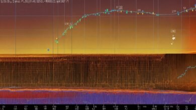 fii dii data